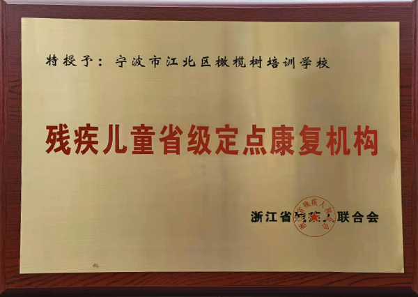 残疾儿童省级定点康复机构