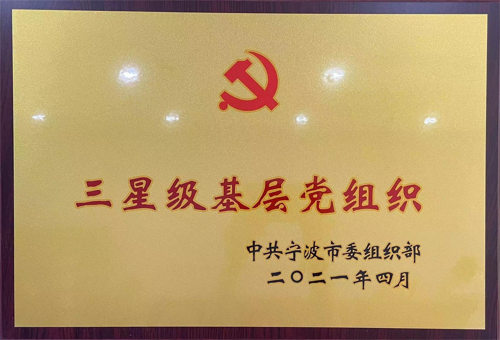 三星级基层党组织